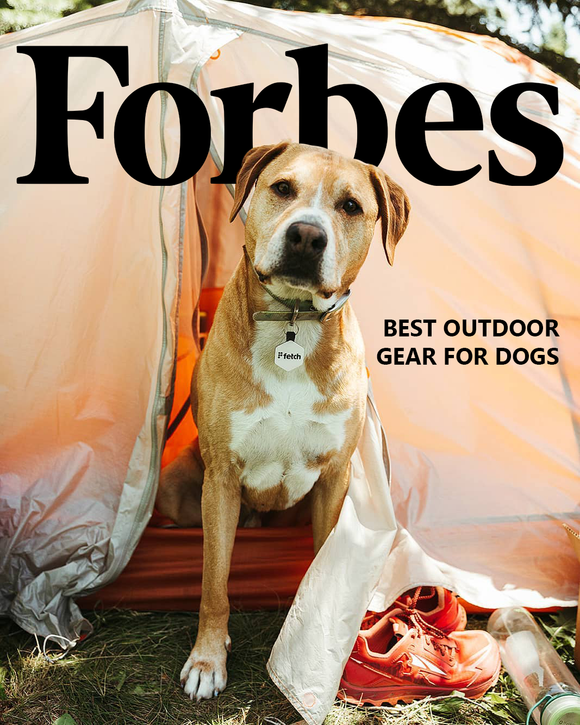 Fetch in Forbes