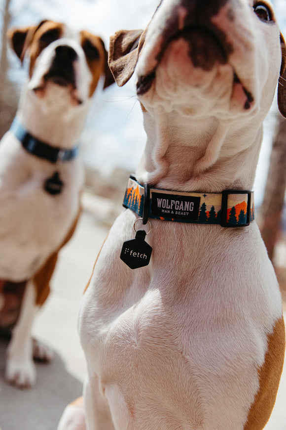 Lifekey® pioneering wearable technologies, safety, digital payments.